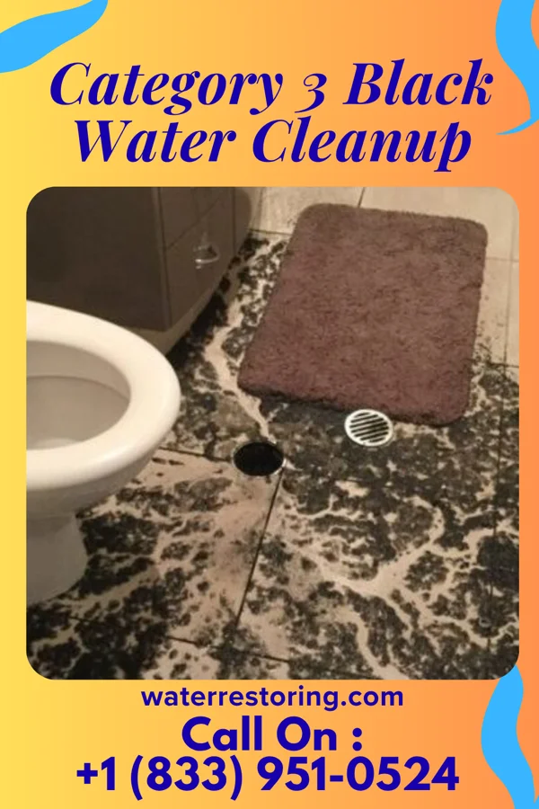 Category 3 Black Water Cleanup in Mellen, WI
