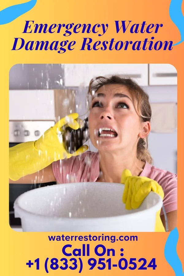 Emergency Water Damage Restoration in Mellen, WI