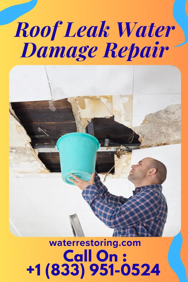 Roof Leak Water Damage Repair in Mellen, WI